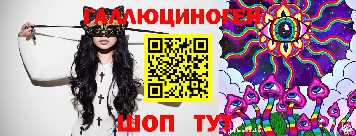 Гудермес  Псилоцибиновые грибы Psilocybe  Вход с VPN 