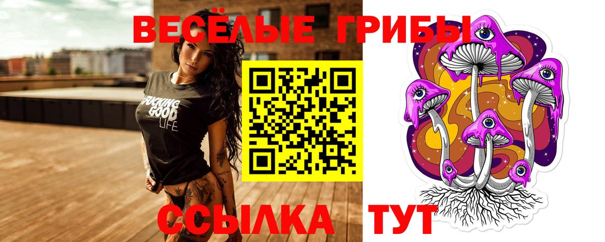 Галлюциногенные грибы MAGIC MUSHROOMS Гудермес